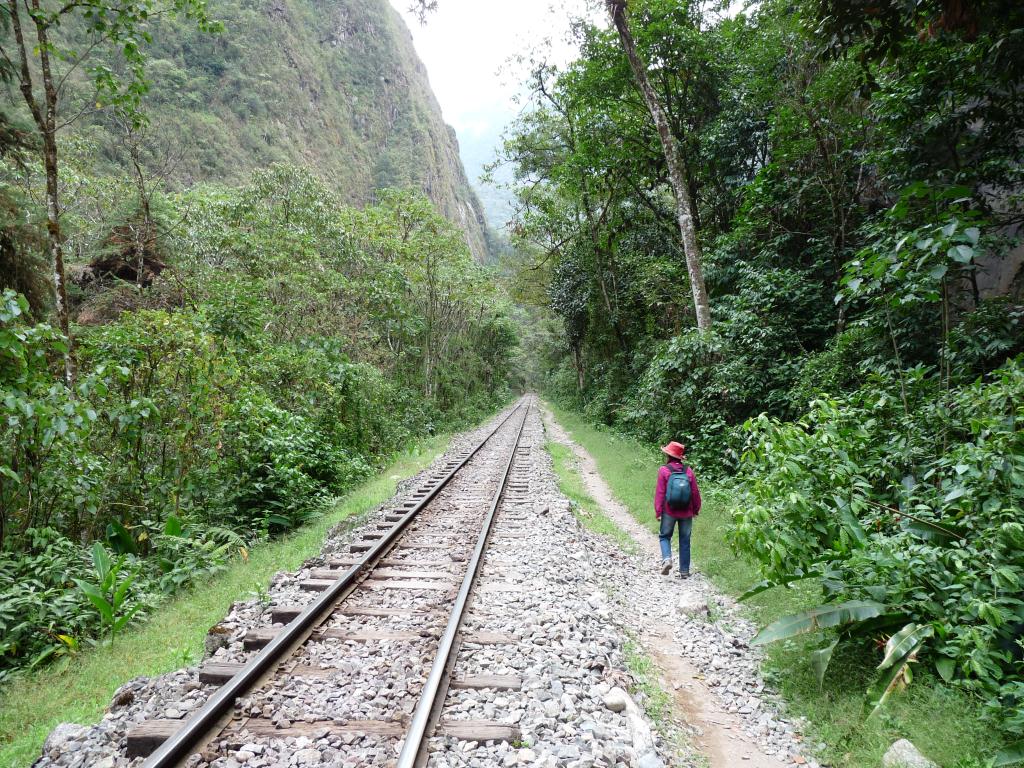 Peru: 10km walk from Aguas Calientes back to Hydro Electrica
